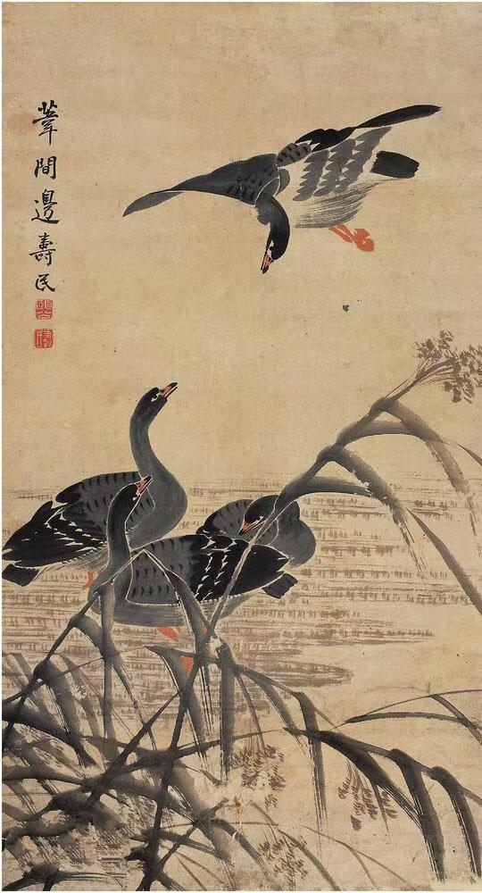 青灰色_灰色青年_灰色青年什么意思