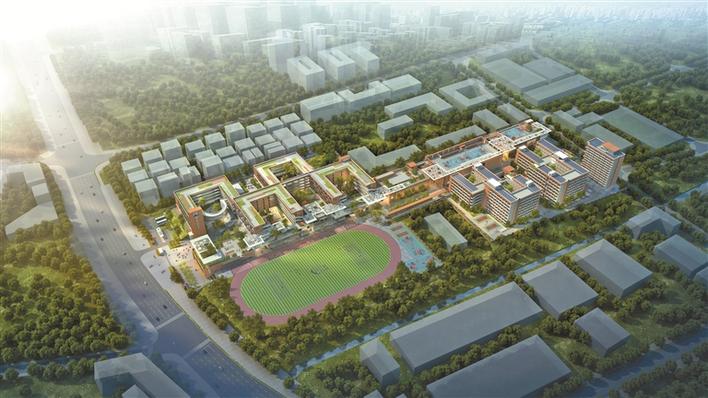 深圳龙岭学校初中部_深圳龙津中学怎么样_深圳龙岭初中