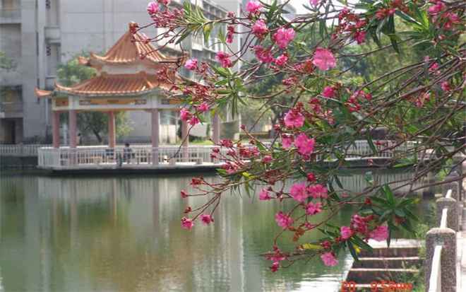 厦门医学院录取分数线2021_厦门医学学院录取分_厦门医学院录取分数