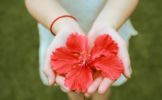 雷霆大发是成语吗_大发雷霆的意思_雷霆大发意思和造句