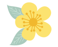 娄底职业技术学院2020_娄底职业技术学院录取线_娄底职业技术学院官网录取查询