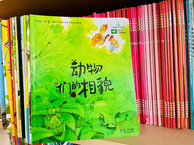 圣的拼音怎么打出来_圣的拼音字_圣拼音是