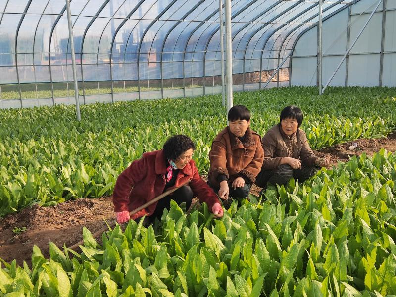 冀读音是什么_冀怎么读_冀读音怎么读