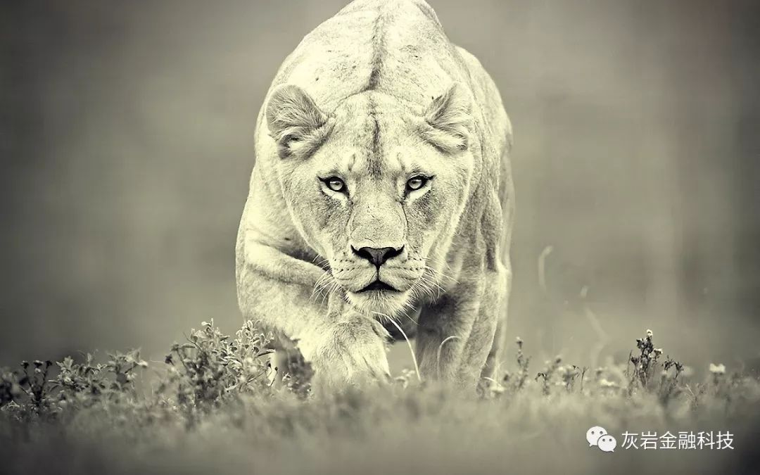 招摇过市意思是什么_招摇过市是成语吗_招摇过市是贬义词吗