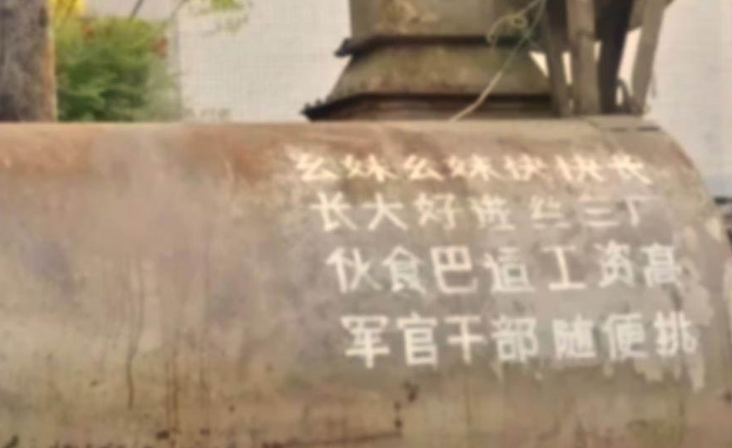 20年前在教导队的4天军训，让我一辈子都是共产主义者