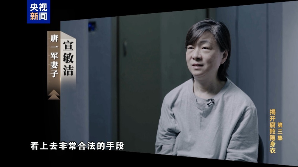 有模有样是什么_有模有样的含义_有模有样的意思