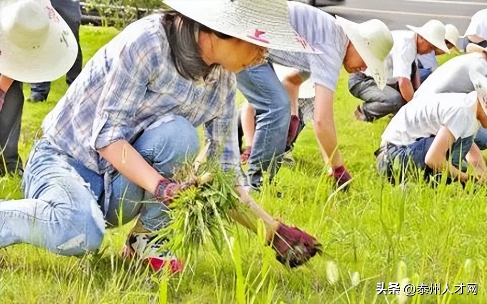 纤怎么读_纤读qian吗_纤读音