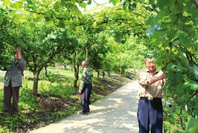 吃大锅饭_吃大锅饭是什么意思_吃大锅饭是哪一年