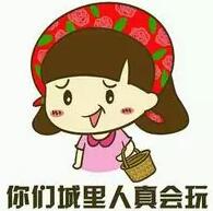 2015年流行语和它们的英文翻译~