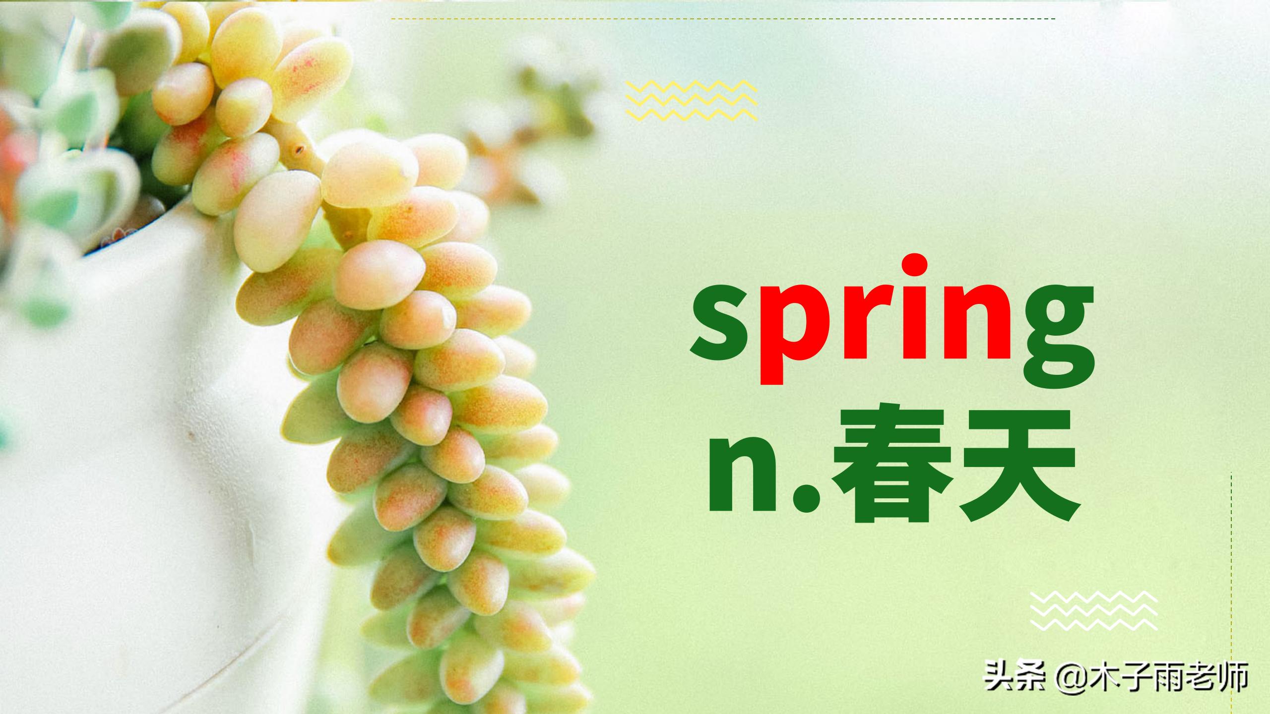 意思是打算的英文_意思是不是轻声词_spring是什么意思