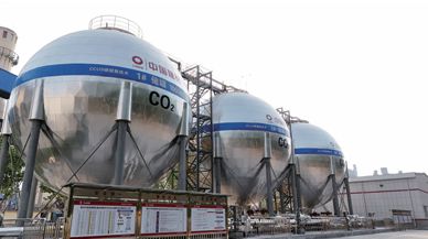 成果的英文_研究成果英文_项目成果英文