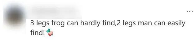 纠正的英文_纠正英文发音的软件_纠正英文单词