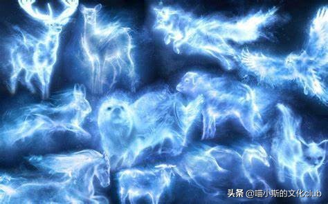 英文保护地球的作文_保护英文_英文保护动物手抄报