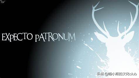 保护英文_英文保护动物手抄报_英文保护地球的作文