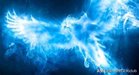 英文保护动物手抄报_保护英文_英文保护地球的作文