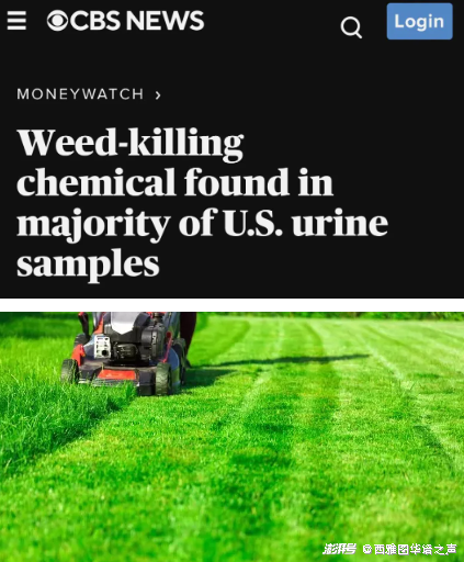 紧急英文_紧急英文单词_紧急英文emergency