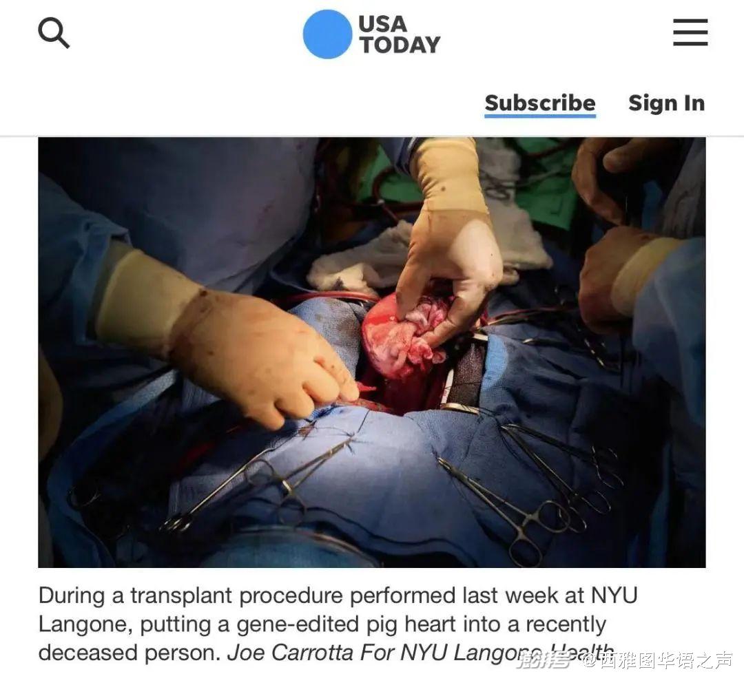 紧急英文_紧急英文单词_紧急英文emergency