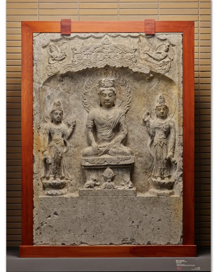 保护英文_英文保护环境的句子_英文保护地球的作文