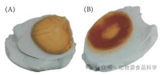 salt_salt歌曲_saltreturner