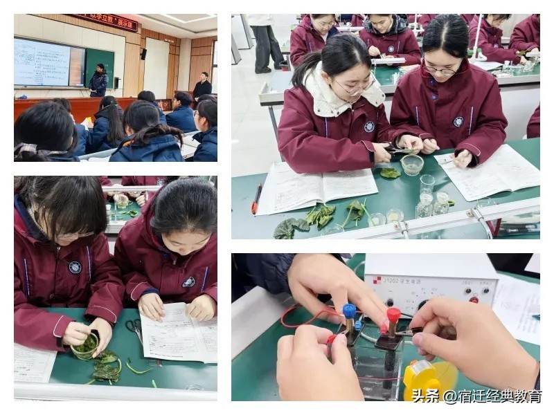 马陵中学占地多少亩_马陵中学_马陵中学喜报