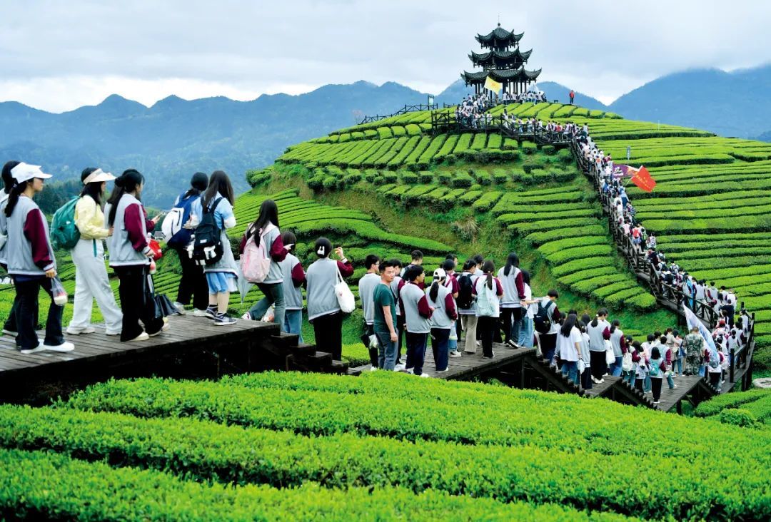 4月3日，湖北恩施州宣恩县一中近3000名师生开展远足研学活动，在茶山间感受茶文化。图/视觉中国