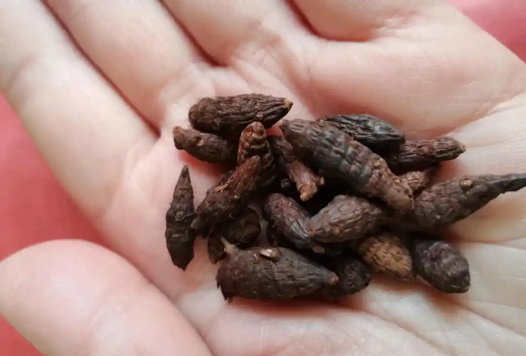 绿的读音_读音绿油油_读音绿林