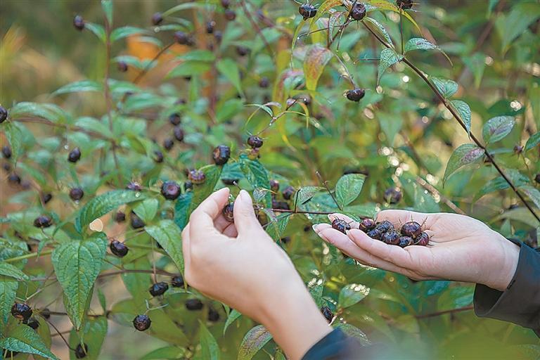 同源策略中的同源_同源策略解决方法_同源策略