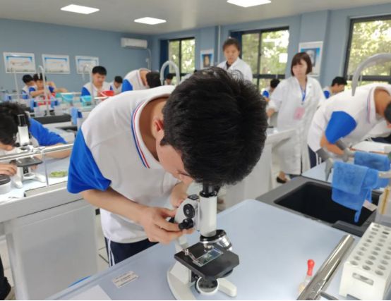 西安博迪中学_西安中学博迪老师简介_西安博迪中学排名