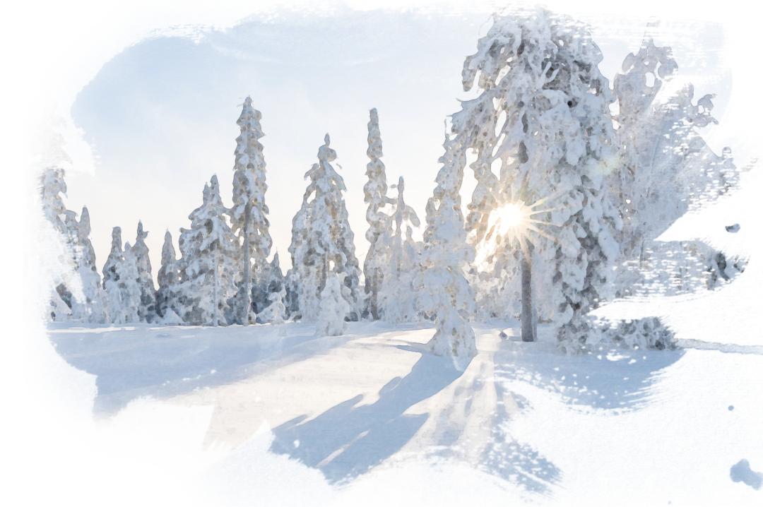 鸿来燕去什么意思_鸿雁来时_来鸿去燕