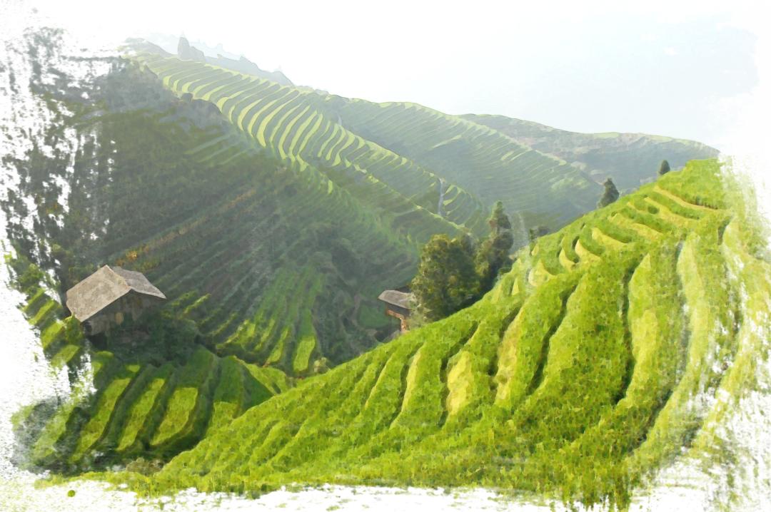 来鸿去燕_鸿来燕去什么意思_鸿雁来时