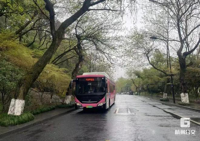 浙大附中_浙大附中本校_浙大附中全名