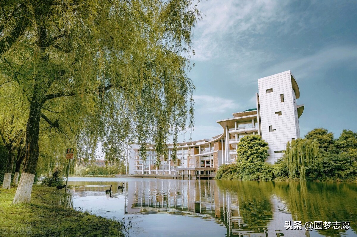 浙江二段线分数_成都学院分数线_江苏高考物理a线分数