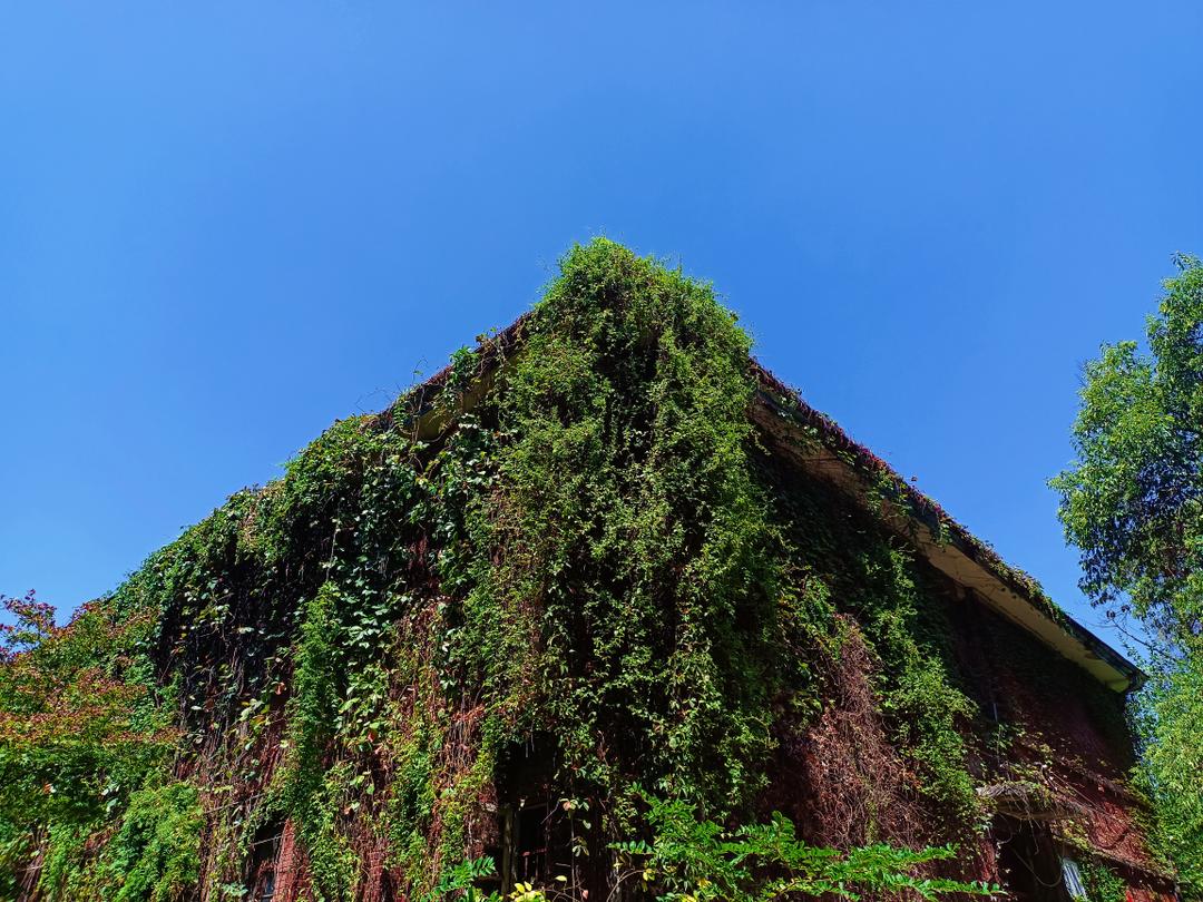 湖北学院录取分数线2021_科技录取分数湖北学院线是多少_湖北科技学院录取分数线