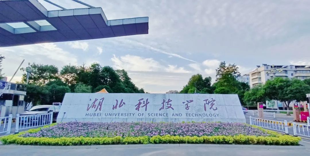 湖北学院录取分数线2021_科技录取分数湖北学院线是多少_湖北科技学院录取分数线