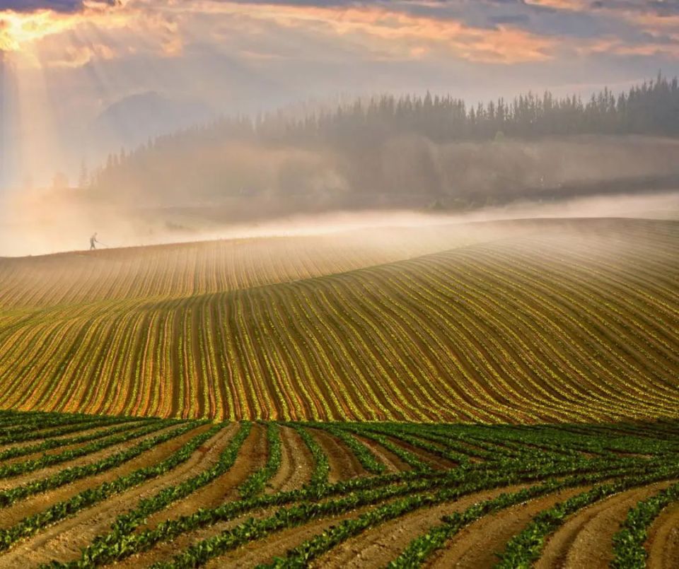 瞥见拼音拼音_省悟的拼音_省汉语拼音怎么写