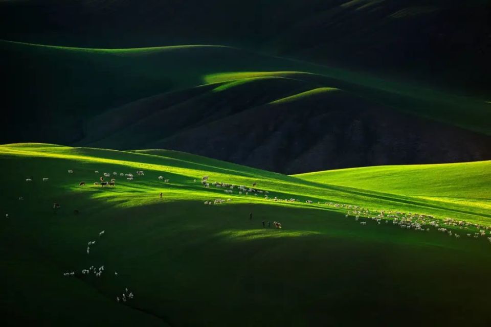 省悟的拼音_瞥见拼音拼音_省汉语拼音怎么写