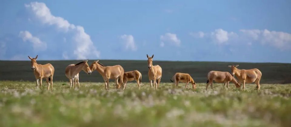 瞥见拼音拼音_省汉语拼音怎么写_省悟的拼音