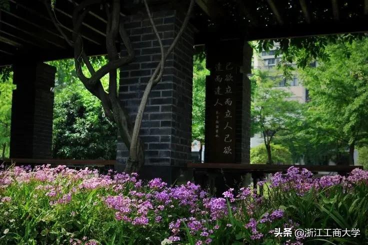 湖南工商大学中外合作办学费_湖南工商大学中外合作招生简章_湖南工商大学中外合作