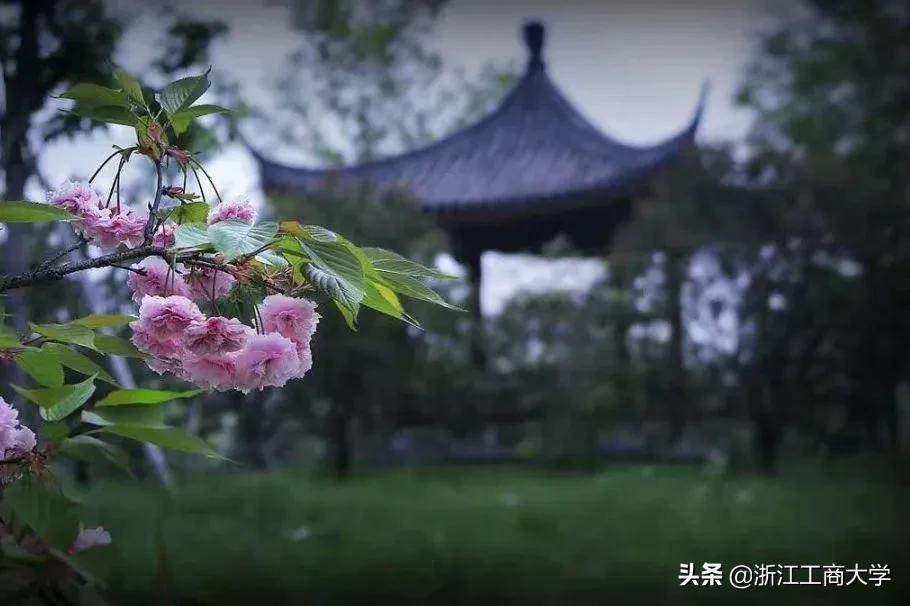 湖南工商大学中外合作招生简章_湖南工商大学中外合作办学费_湖南工商大学中外合作