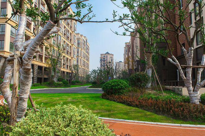 莲花中学校长_莲花中学排名第几_莲花中学