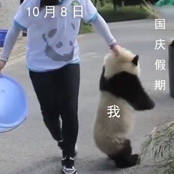 坐高铁能不能带驱蚊液_驱蚊水可以带上高铁吗_坐高铁能带驱蚊水吗