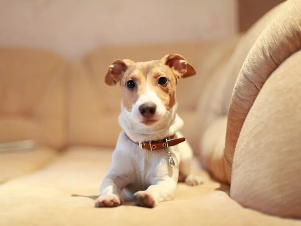 坐高铁能带驱蚊水吗_驱蚊水可以带上高铁吗_坐高铁能不能带驱蚊液