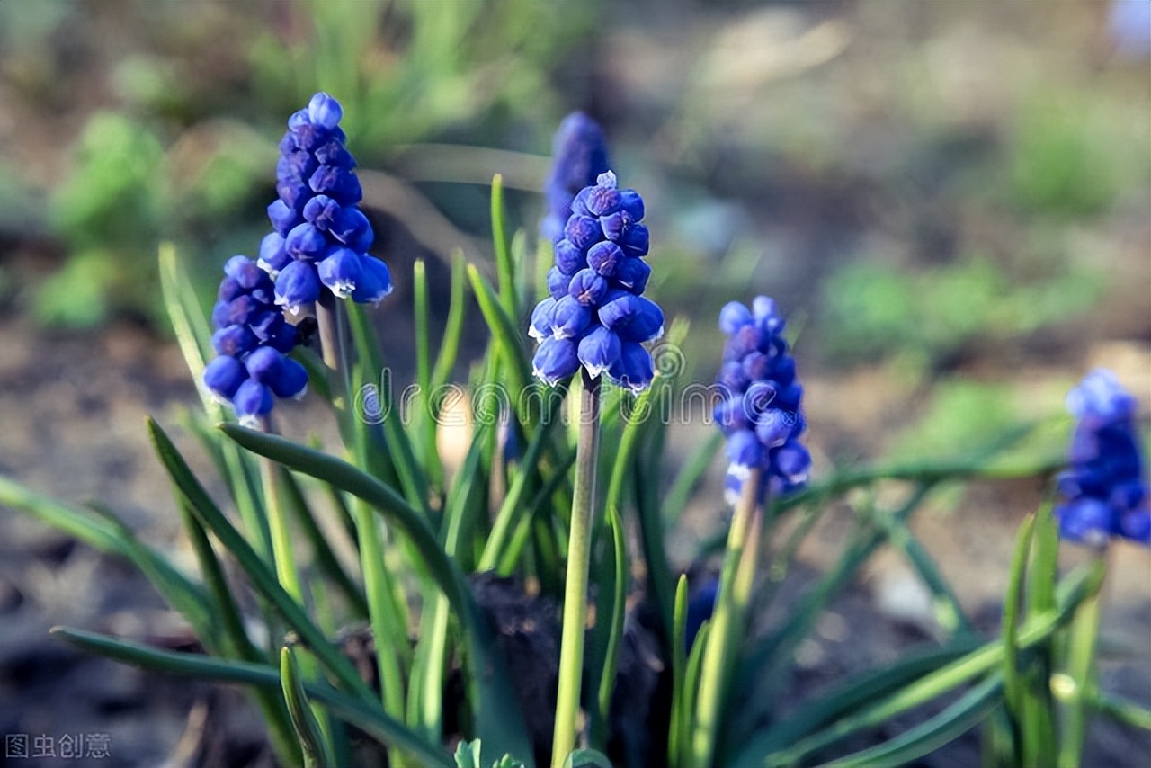 驱蚊水可以带上高铁吗_高铁携带驱蚊水_上高铁驱蚊带水可以吗