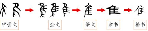 隹加偏旁组新字_加偏旁组新字是什么意思_加偏旁组新字有什么