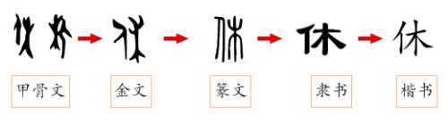 隹加偏旁组新字_加偏旁组新字有什么_加偏旁组新字是什么意思