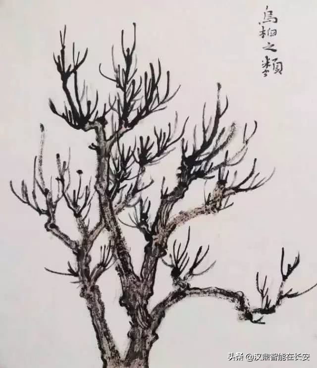 笔顺叶的笔顺_与的笔顺怎么写与的笔顺怎么写_叶笔顺