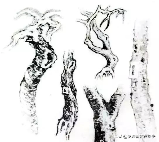 叶笔顺_与的笔顺怎么写与的笔顺怎么写_笔顺叶的笔顺