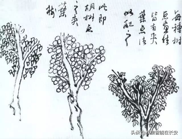 笔顺叶的笔顺_叶笔顺_与的笔顺怎么写与的笔顺怎么写