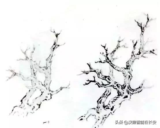 笔顺叶的笔顺_叶笔顺_与的笔顺怎么写与的笔顺怎么写