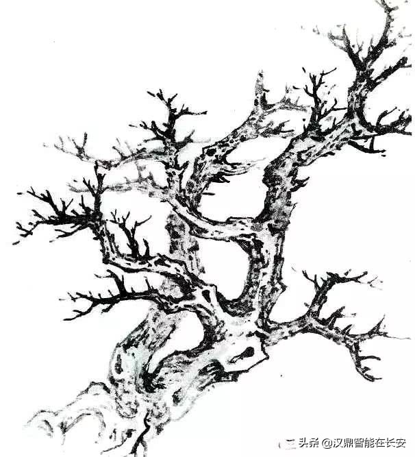 与的笔顺怎么写与的笔顺怎么写_笔顺叶的笔顺_叶笔顺